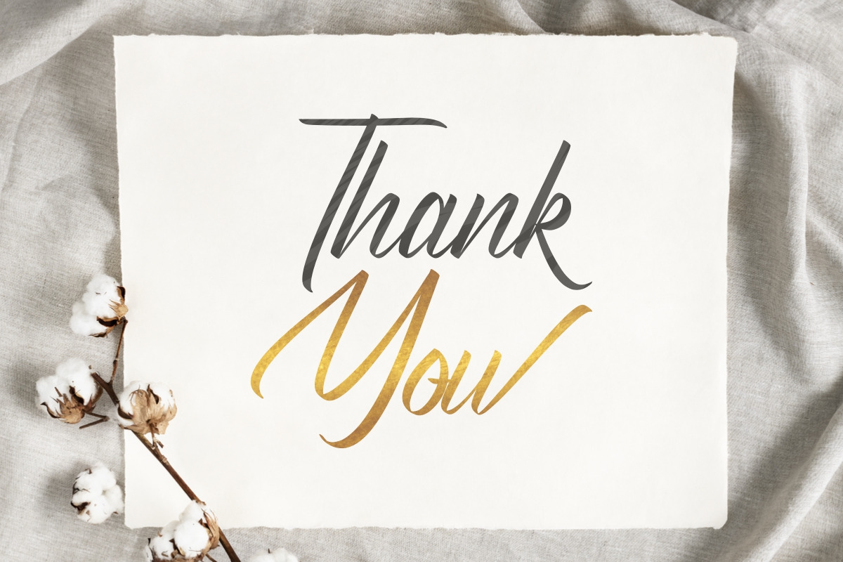 Salvations Calligraphy Script Font Salvations Calligraphy Script Font