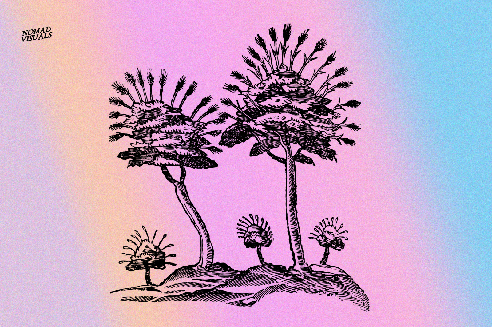 Prodigiorum Naturae - Illustrations Prodigiorum Naturae - Illustrations