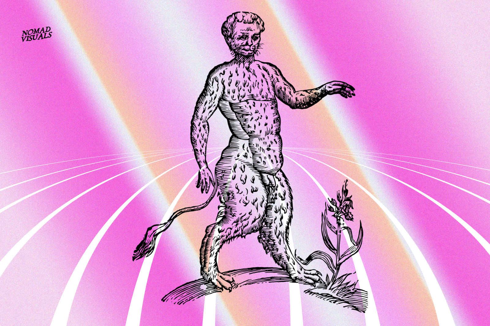 Prodigiorum Naturae - Illustrations Prodigiorum Naturae - Illustrations