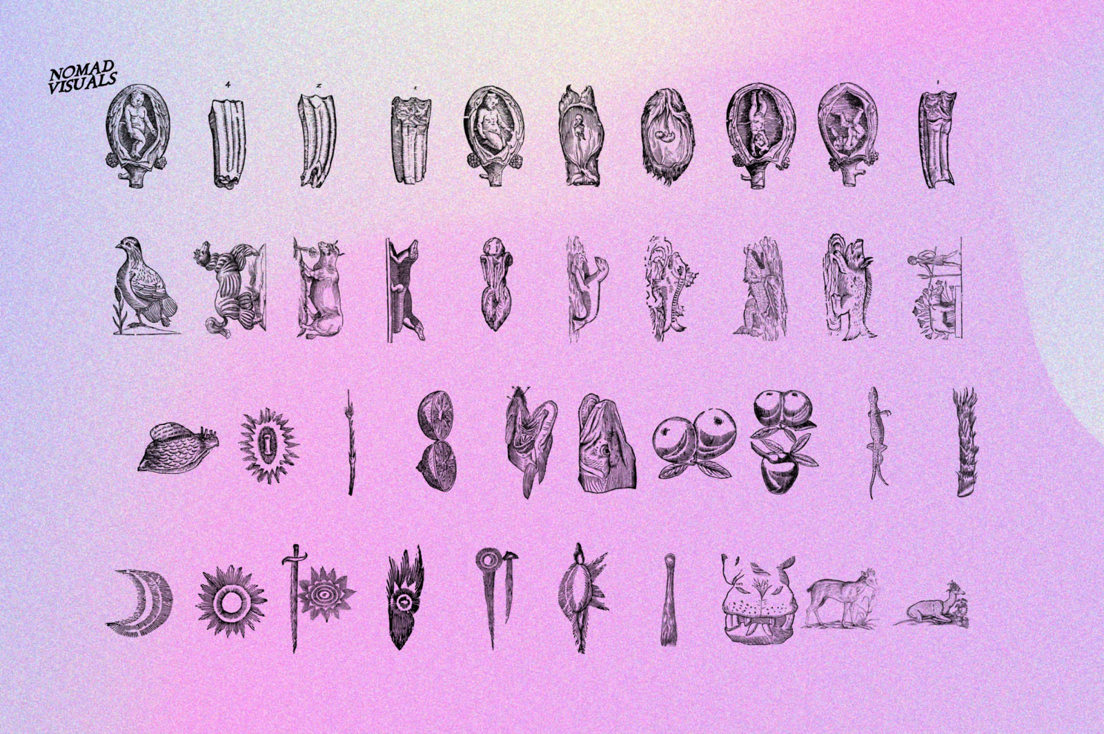 Prodigiorum Naturae - Illustrations Prodigiorum Naturae - Illustrations