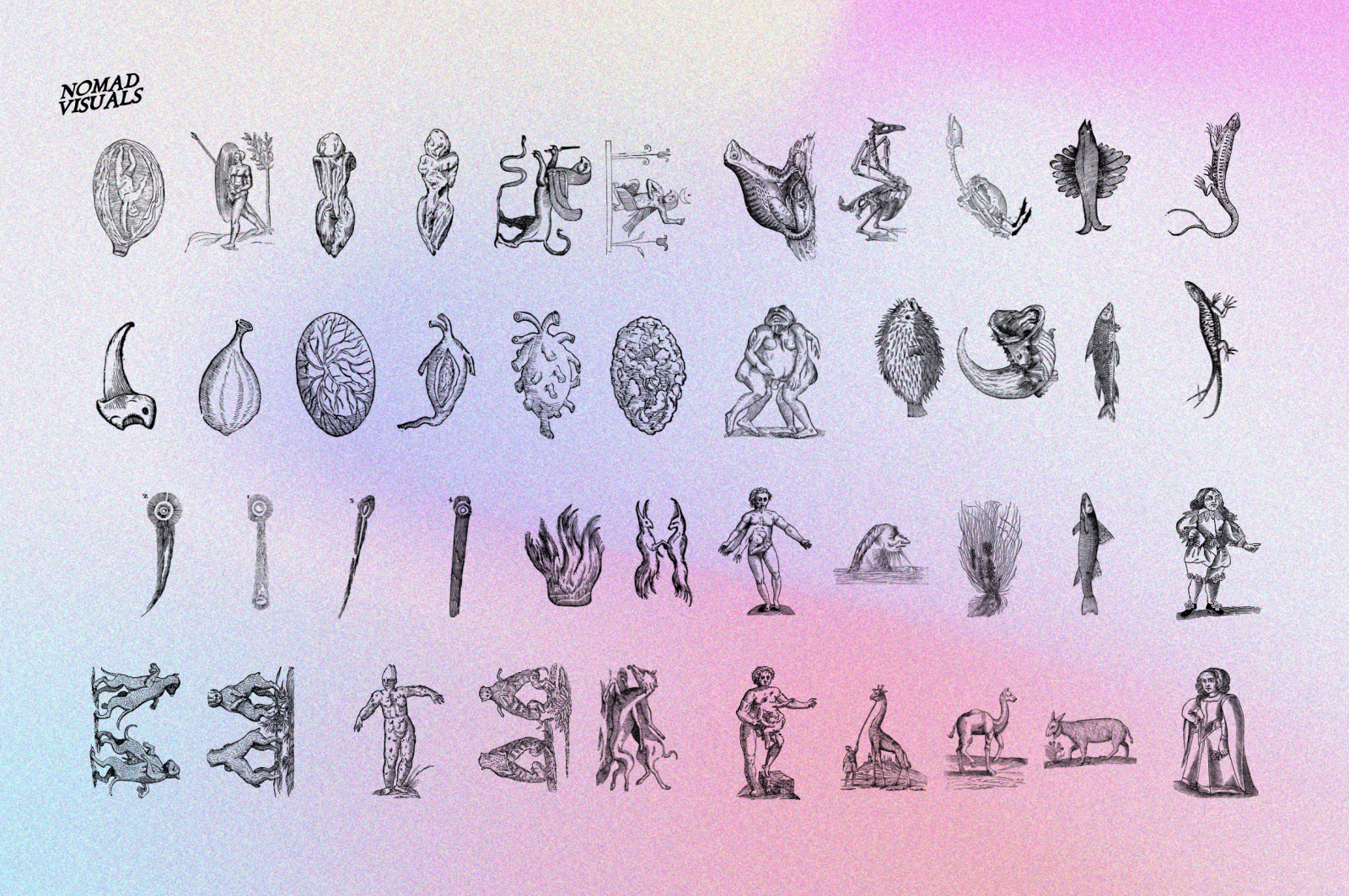 Prodigiorum Naturae - Illustrations Prodigiorum Naturae - Illustrations