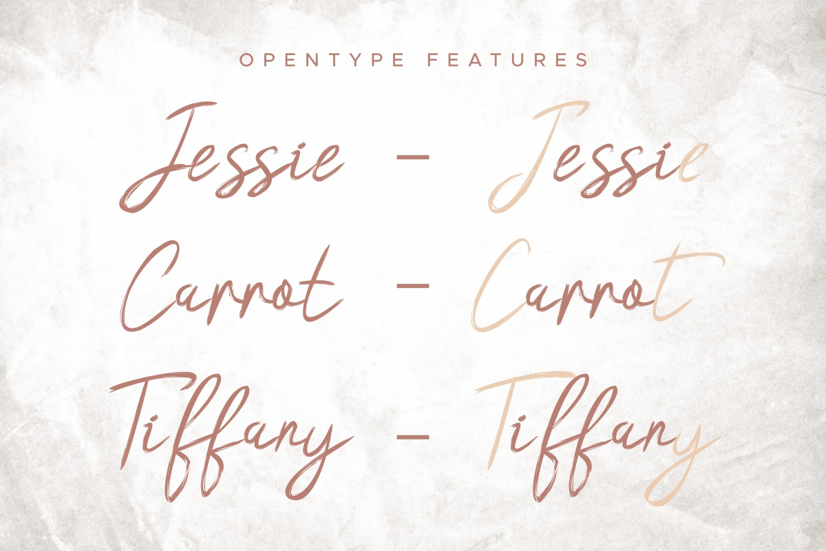 Hasita Hillary Brush Font Hasita Hillary Brush Font