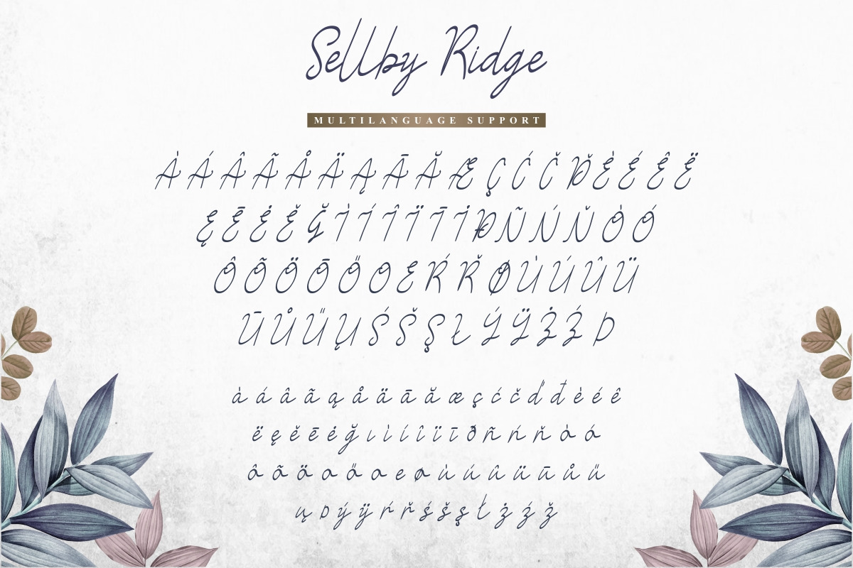 Sellby Ridge Calligraphy Font Sellby Ridge Calligraphy Font