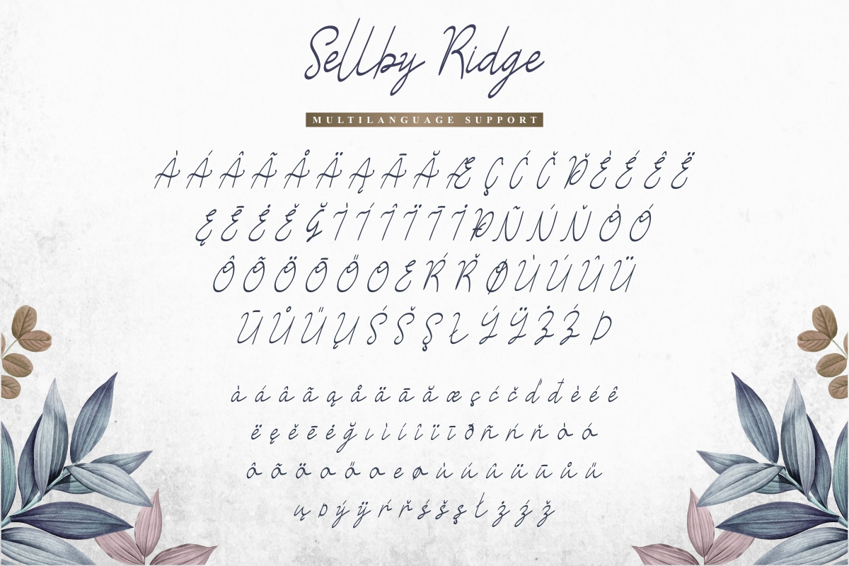 Sellby Ridge Calligraphy Font