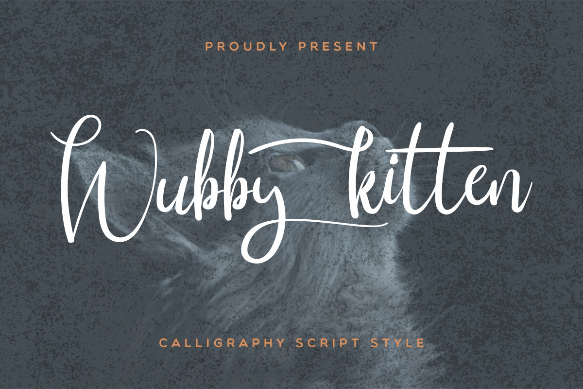 Wubby Kitten Calligraphy Font