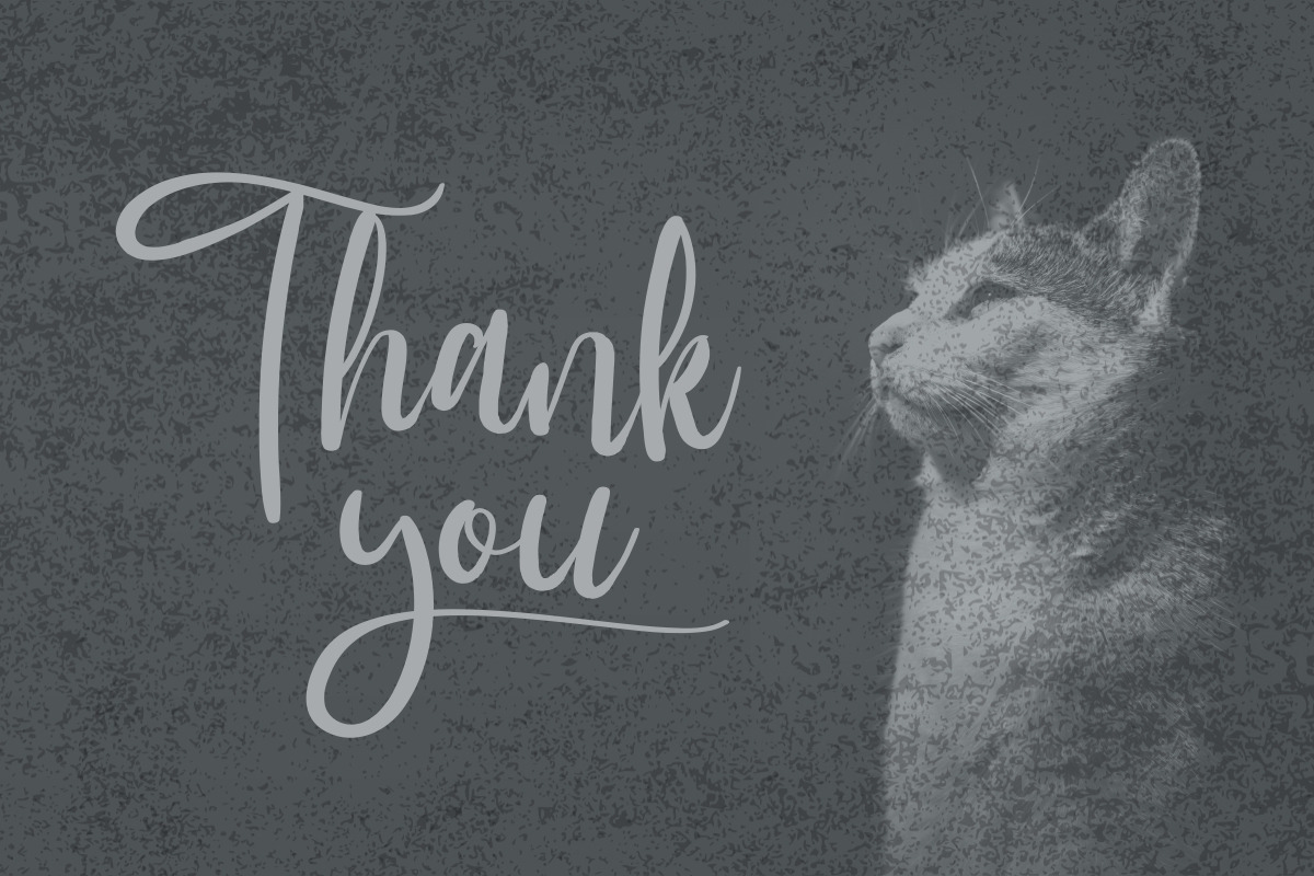 Wubby Kitten Calligraphy Font Wubby Kitten Calligraphy Font