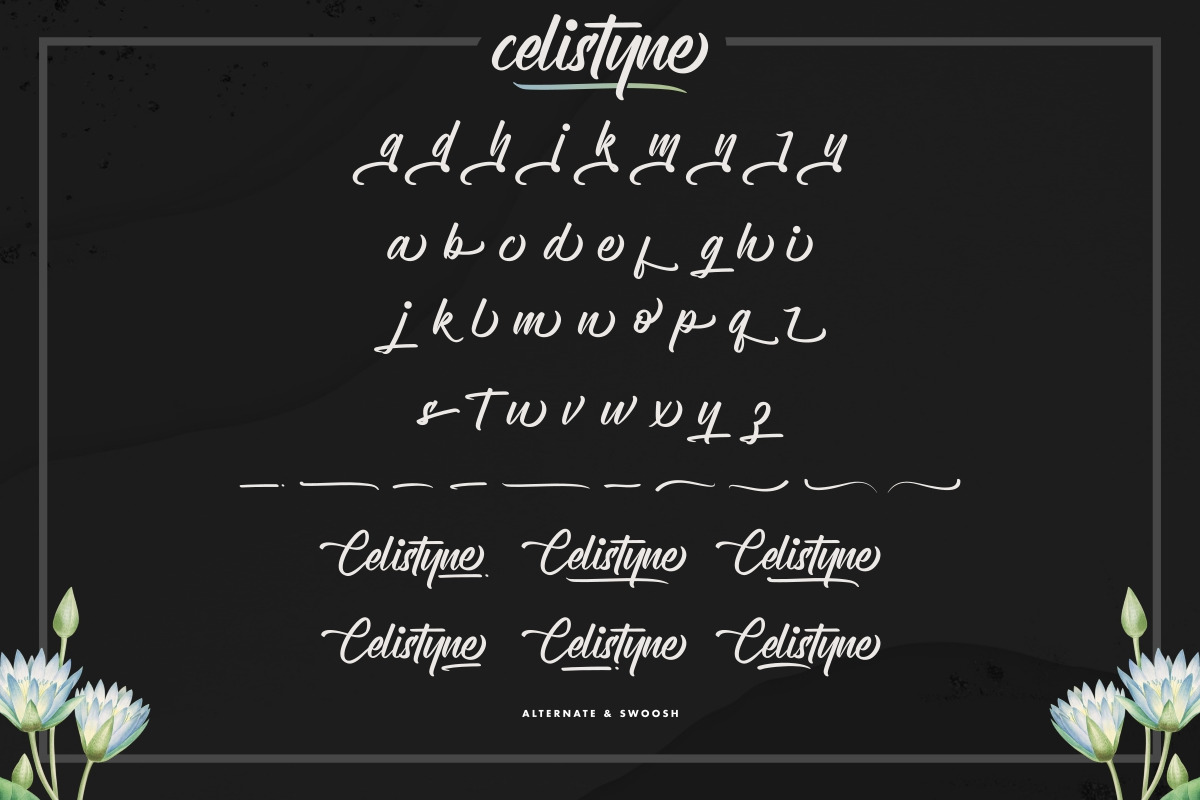 Celistyne Calligraphy Font Celistyne Calligraphy Font