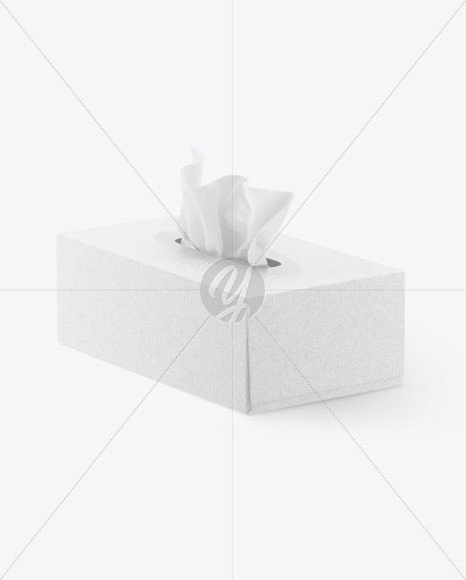 Kraft Box w/ Wipes Mockup