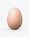 Egg Mockup - Front View