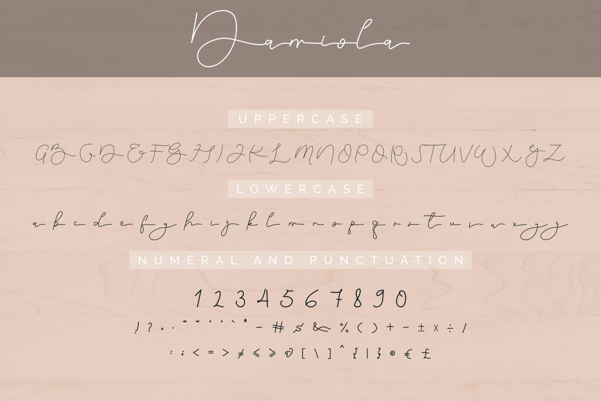 Damiola Handwriting Font Damiola Handwriting Font