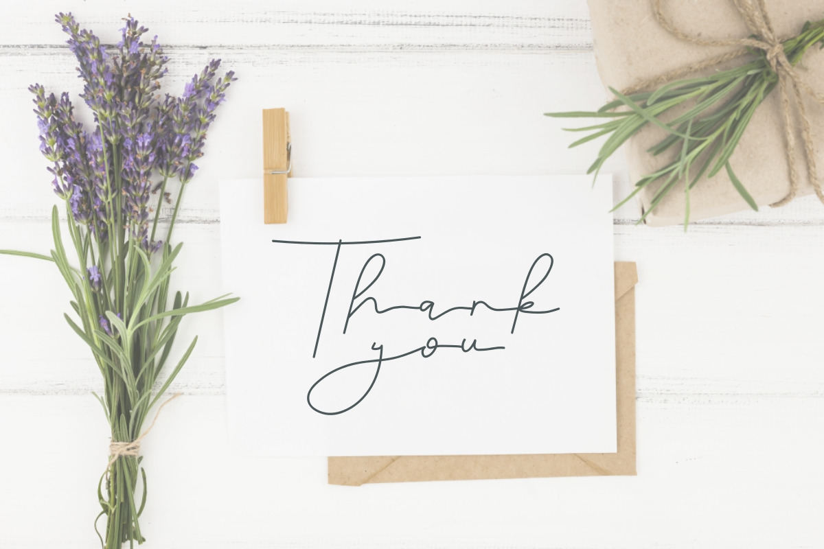 Damiola Handwriting Font Damiola Handwriting Font