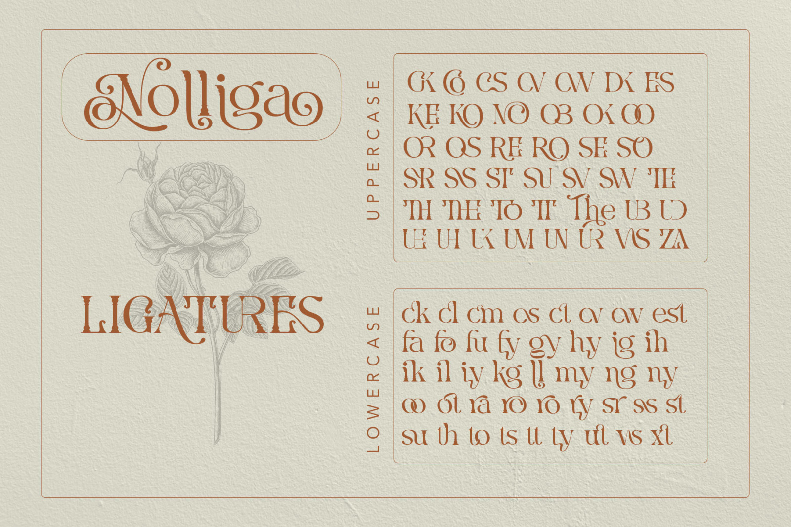 Nolliga Typeface