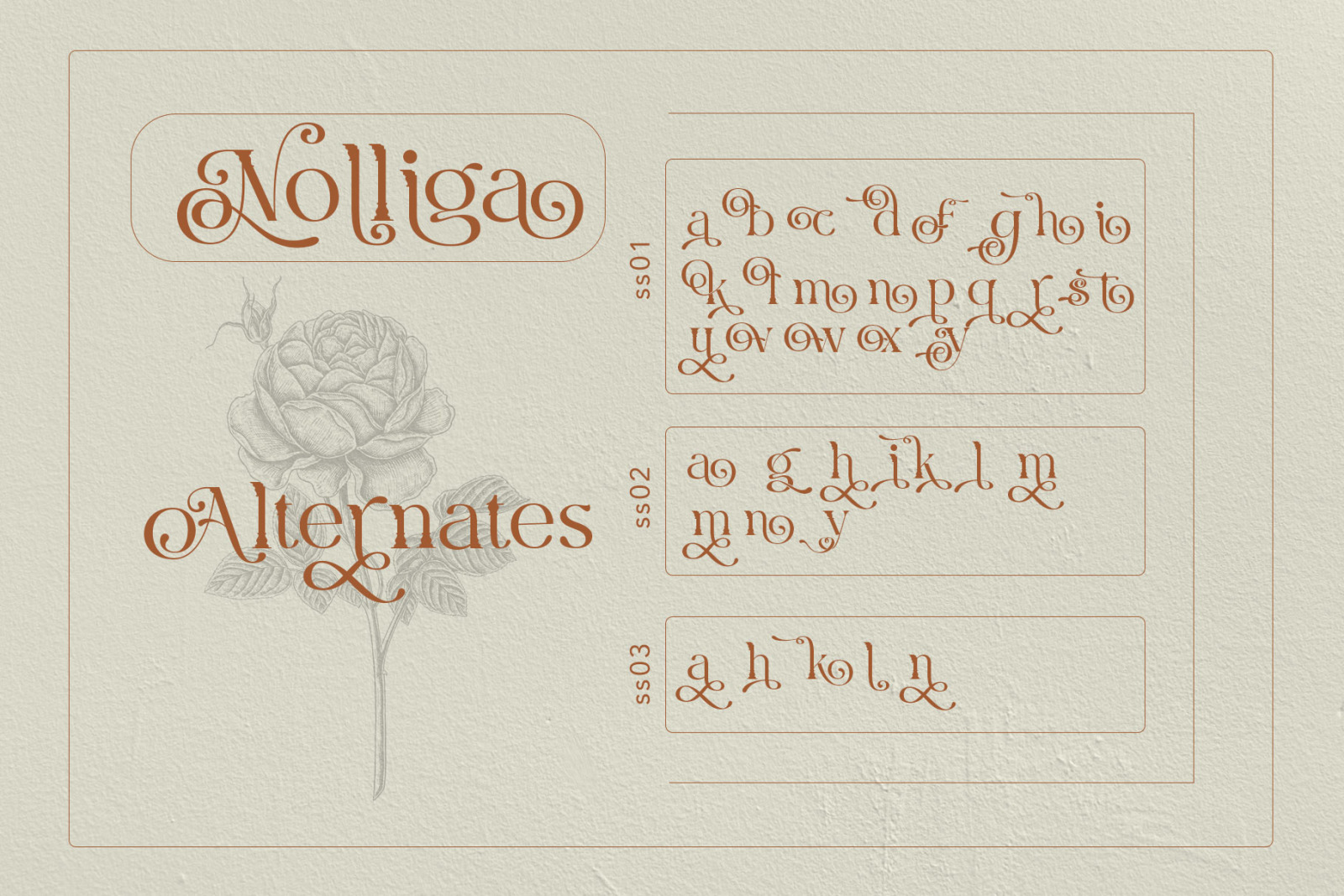 Nolliga Typeface Nolliga Typeface