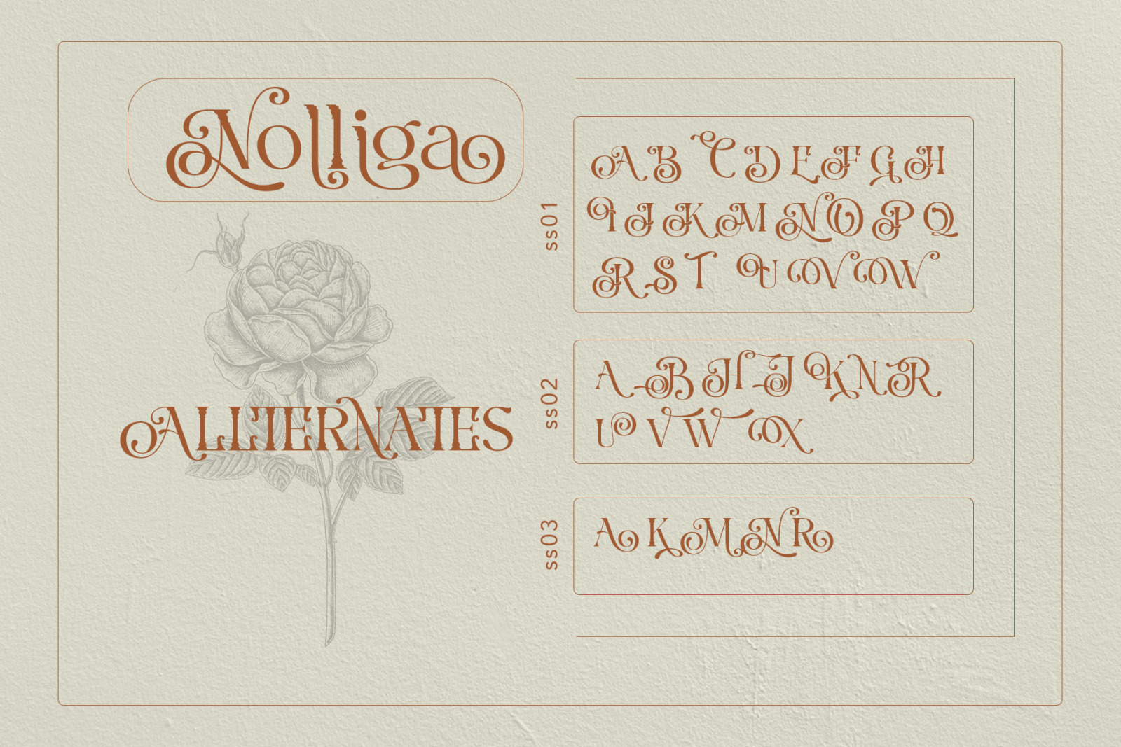 Nolliga Typeface Nolliga Typeface