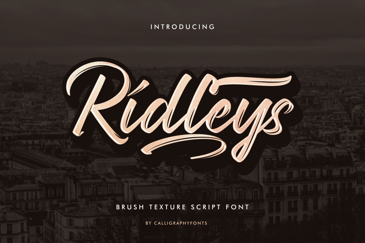 Ridleys Handwritten Brush Font Ridleys Handwritten Brush Font
