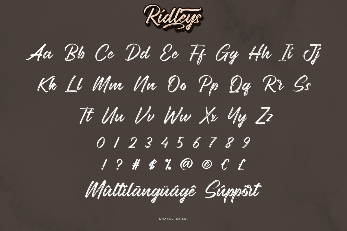Ridleys Handwritten Brush Font Ridleys Handwritten Brush Font