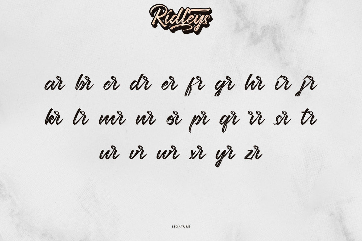 Ridleys Handwritten Brush Font Ridleys Handwritten Brush Font
