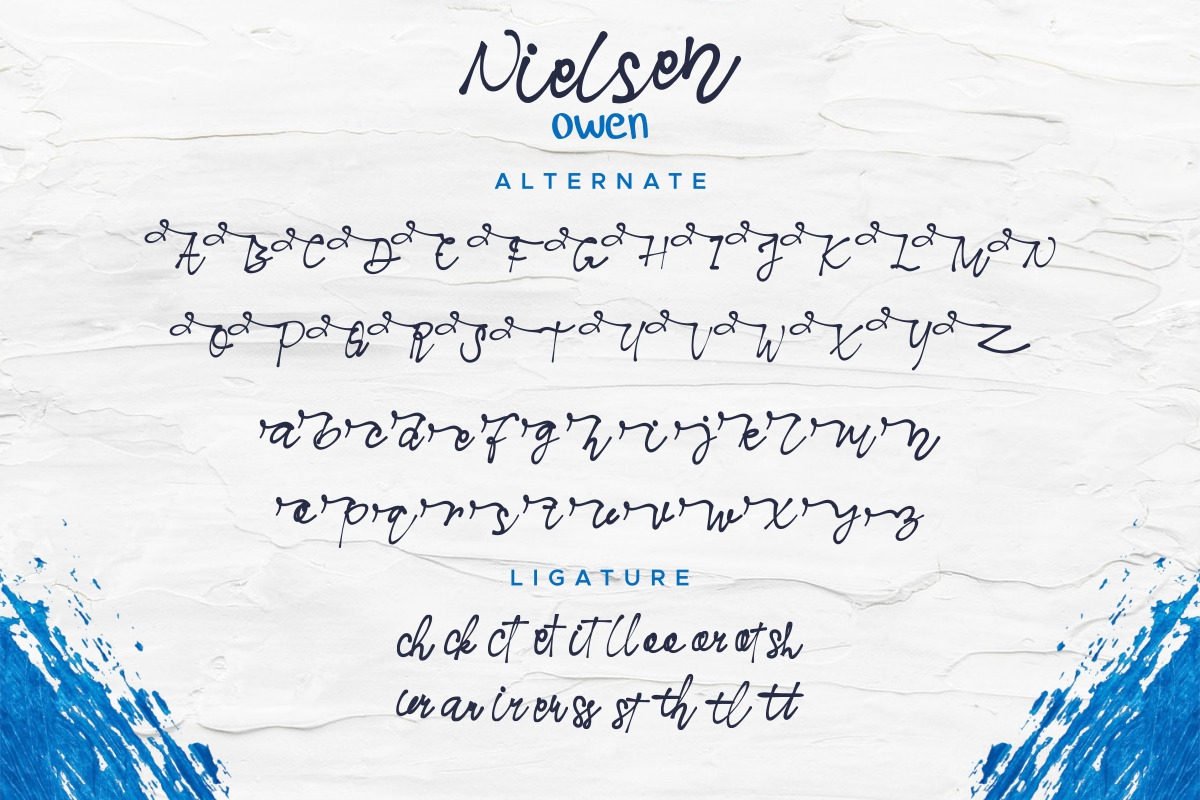 Nielsen Owen Font Duo