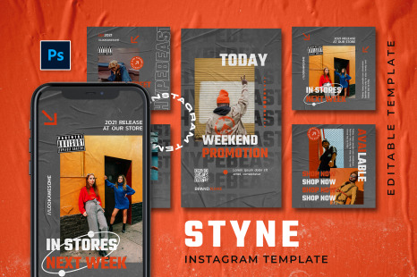 Styne Instagram Template - Instagram posts