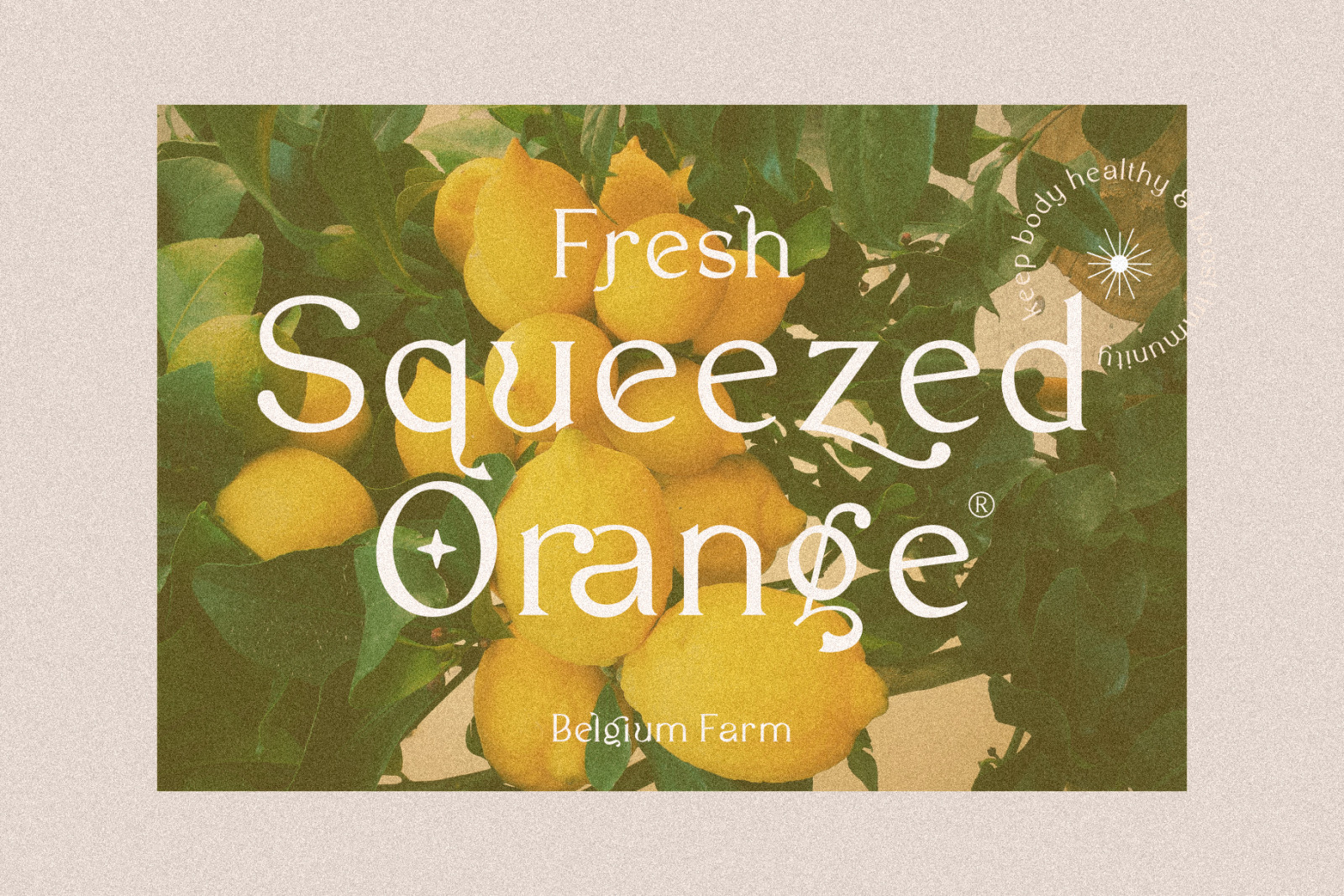 Garlich Grow - Trendy Modern Serif Garlich Grow - Trendy Modern Serif