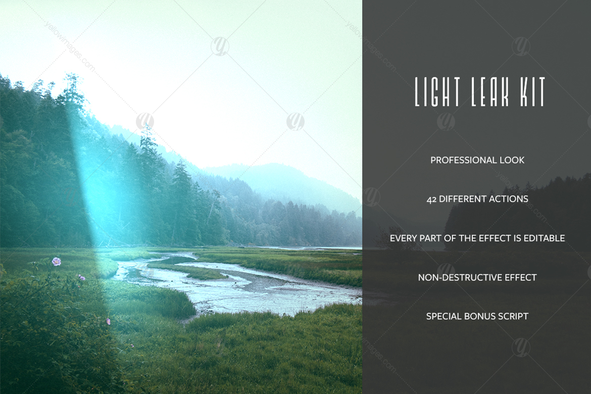 Light Leak Kit