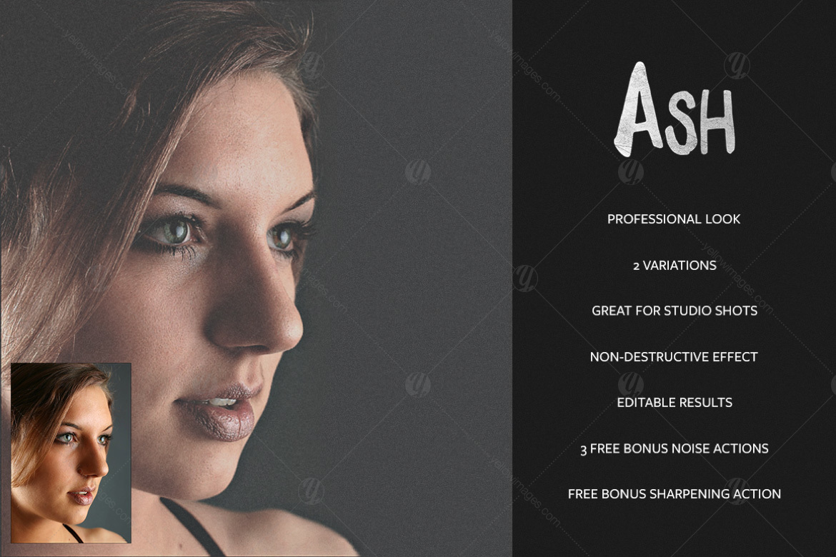 Ash Action Ash Action