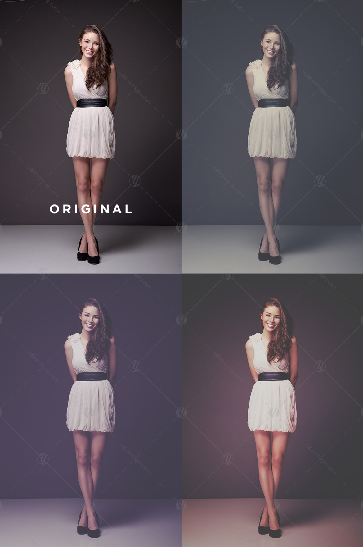 The Matte Collection The Matte Collection