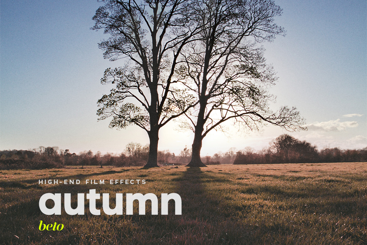 Autumn Action Autumn Action