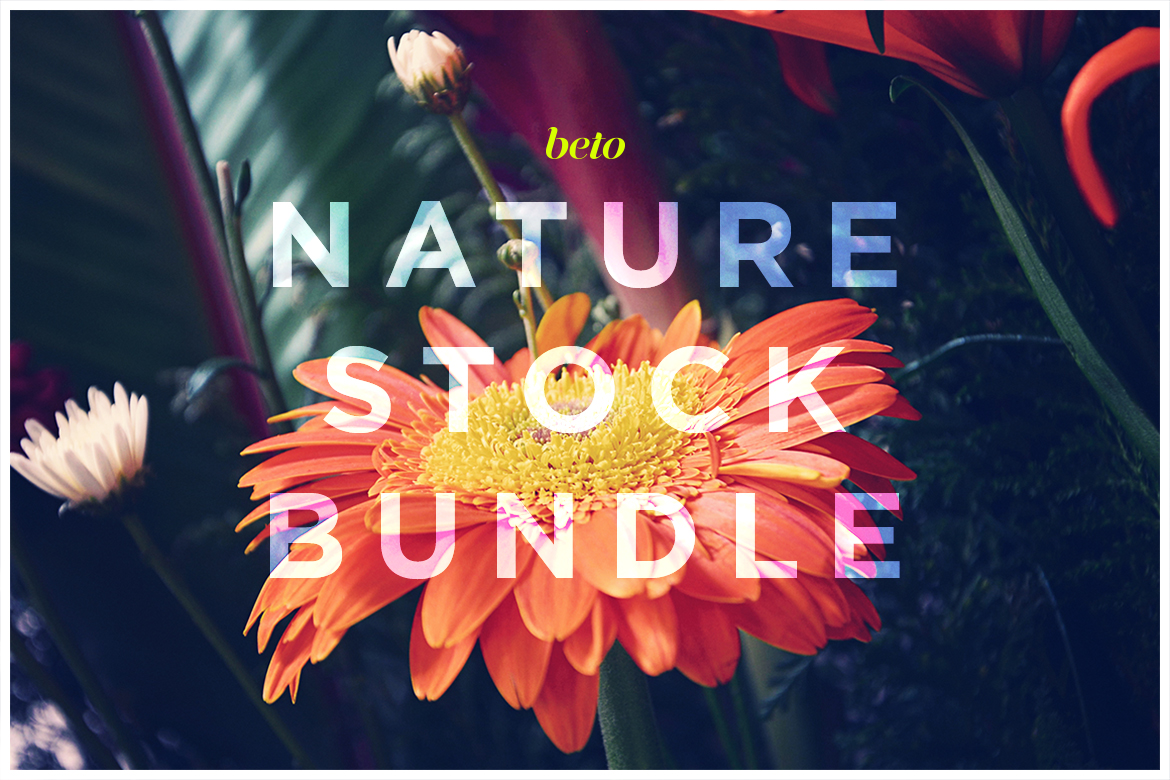 Nature Stock Bundle