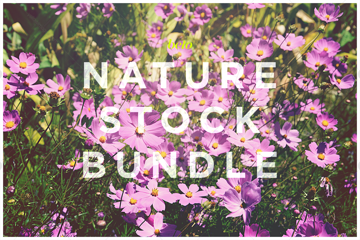 Nature Stock Bundle