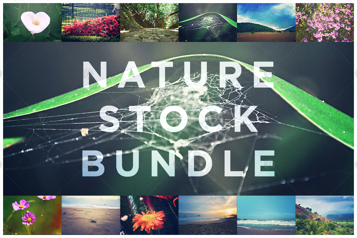 Nature Stock Bundle