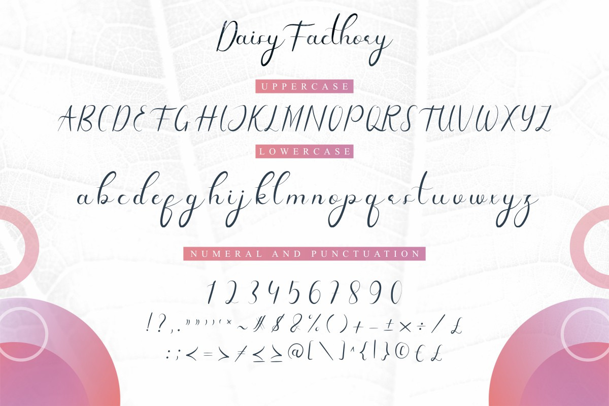 Daisy Facthory Calligraphy Font