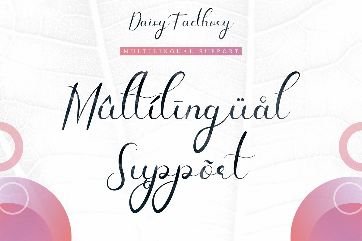 Daisy Facthory Calligraphy Font