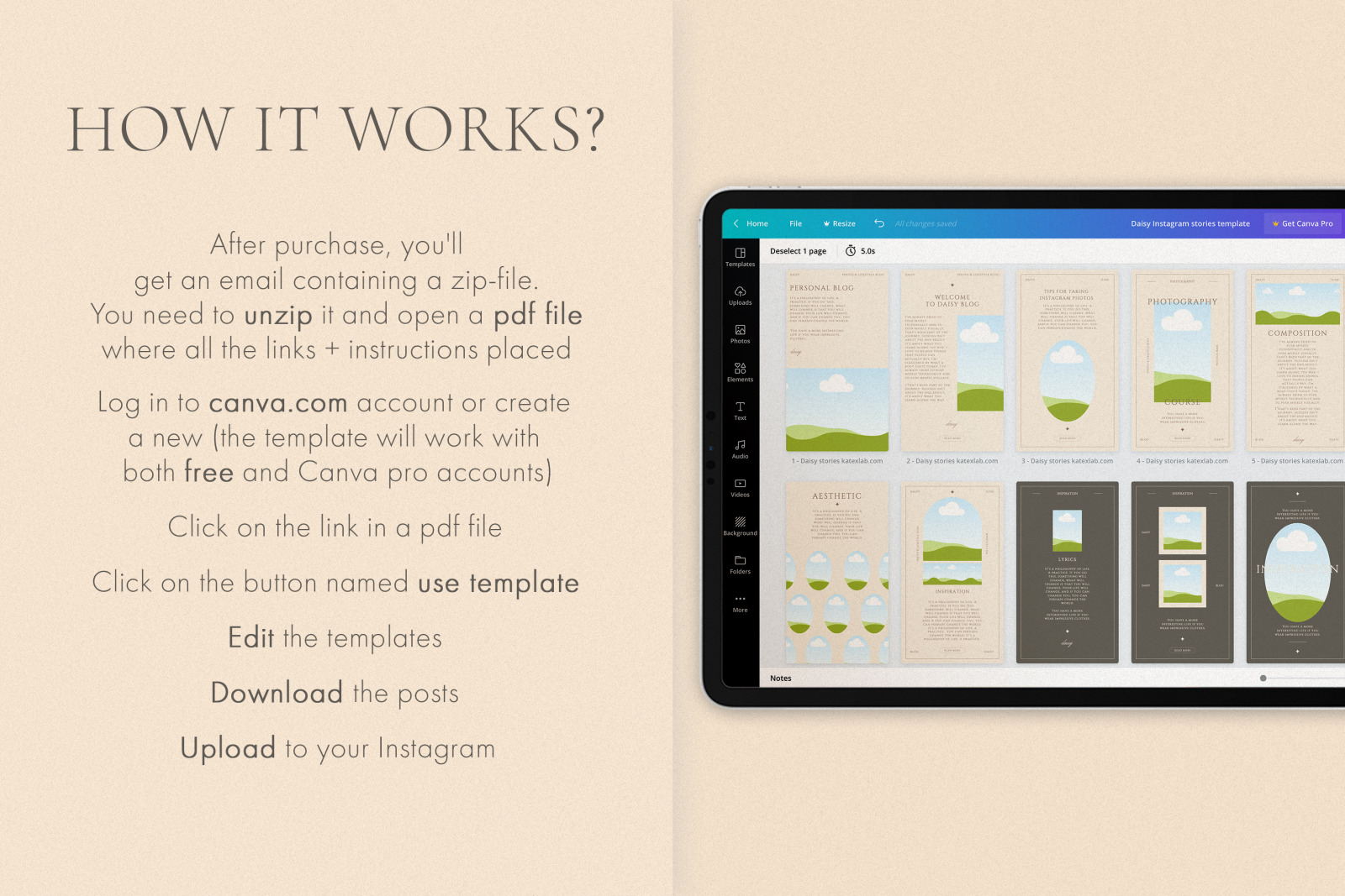 Daisy Instagram stories templates for Canva Daisy Instagram stories templates for Canva