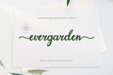 Evergarden Font - Fonts