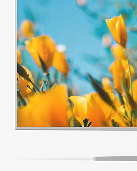 Curved Tv Mockup