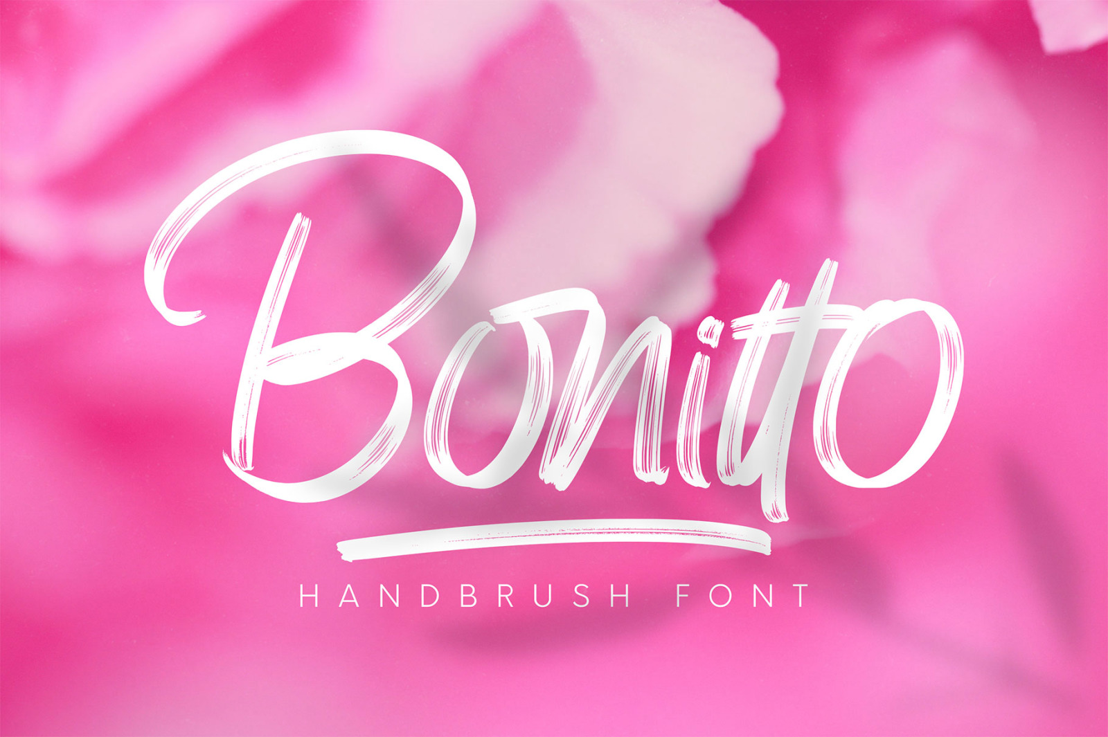 Bonitto Bonitto