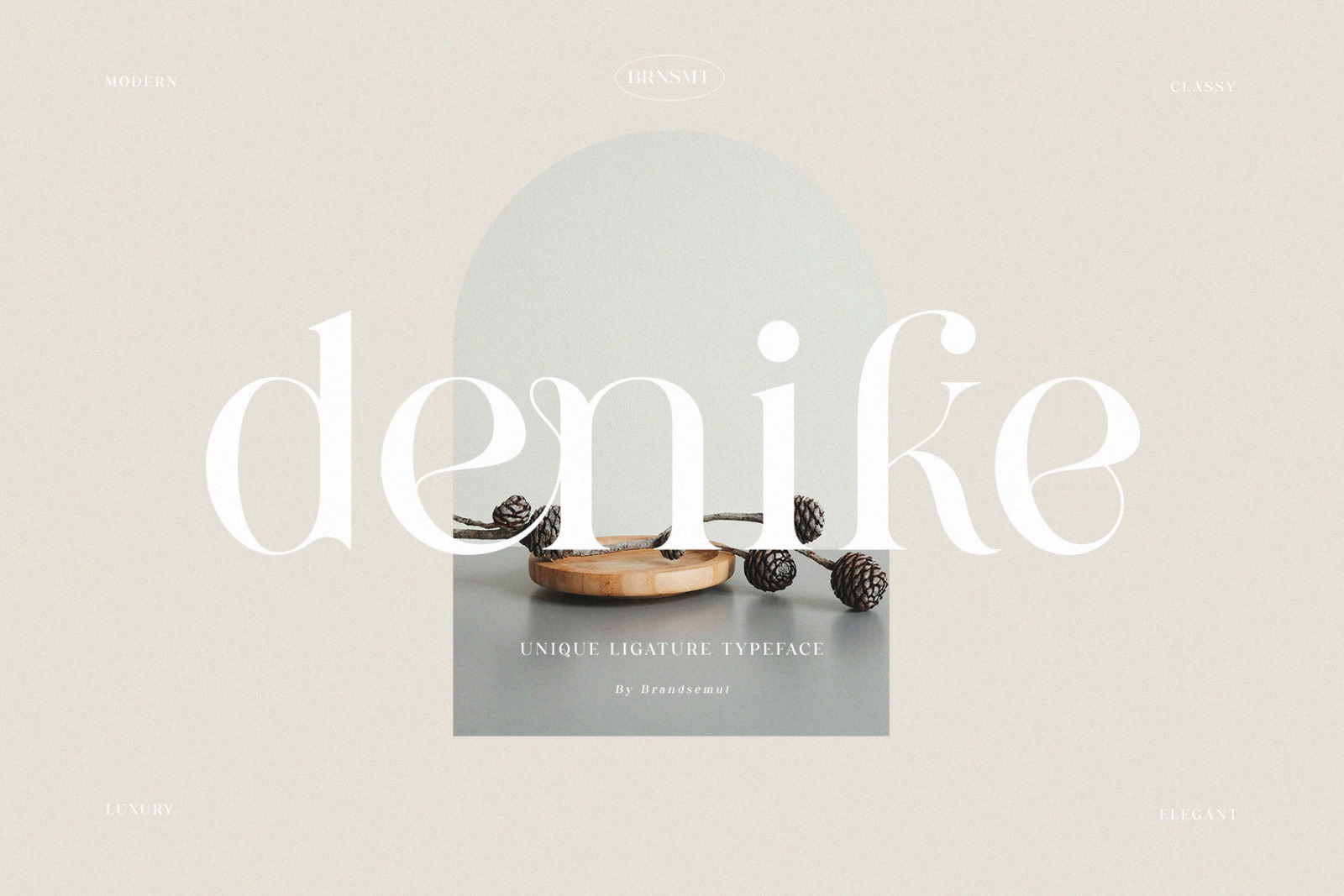 Denike - Stylish Modern Serif Denike - Stylish Modern Serif