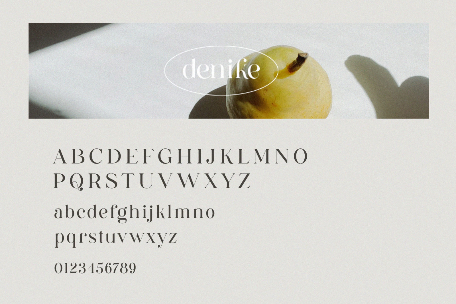 Denike - Stylish Modern Serif Denike - Stylish Modern Serif