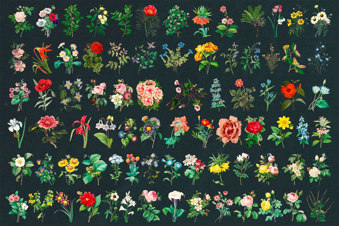 Aesthetic Vintage Flower PNG Clipart Aesthetic Vintage Flower PNG Clipart