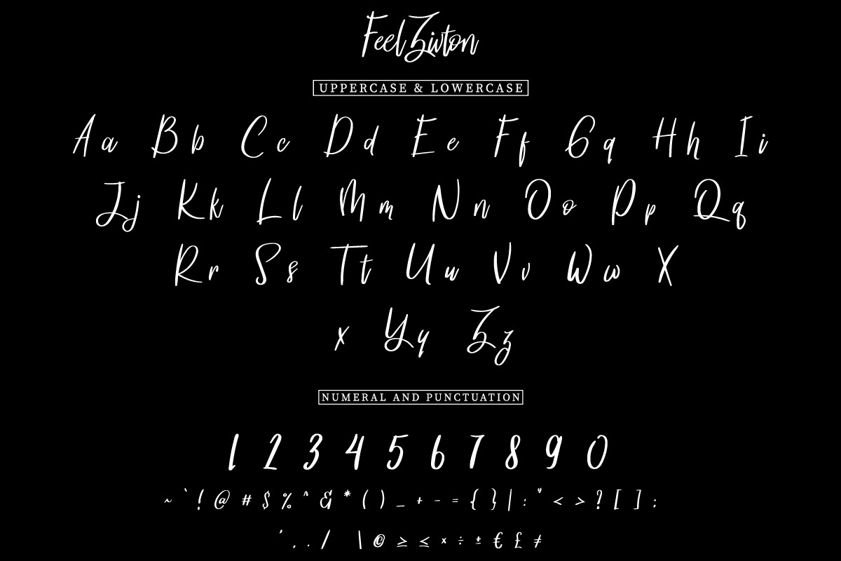 Feel Zivton Calligraphy Font