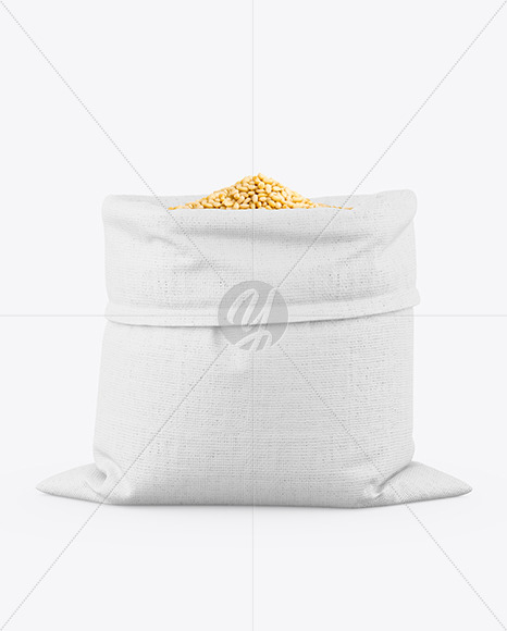 Canvas Sack with Pine Nuts Mockup