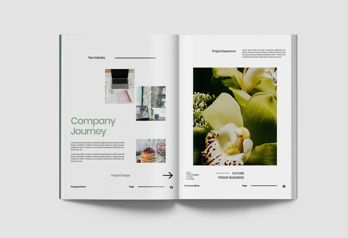 Company Profile Document Indesign