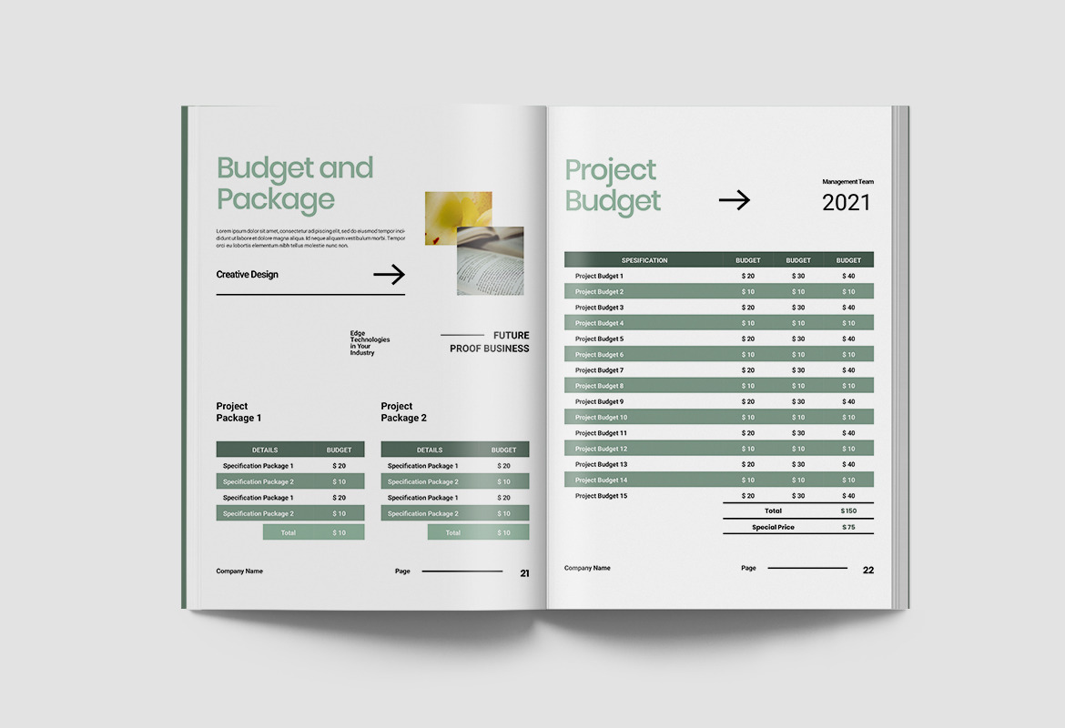 Company Profile Document Indesign Company Profile Document Indesign