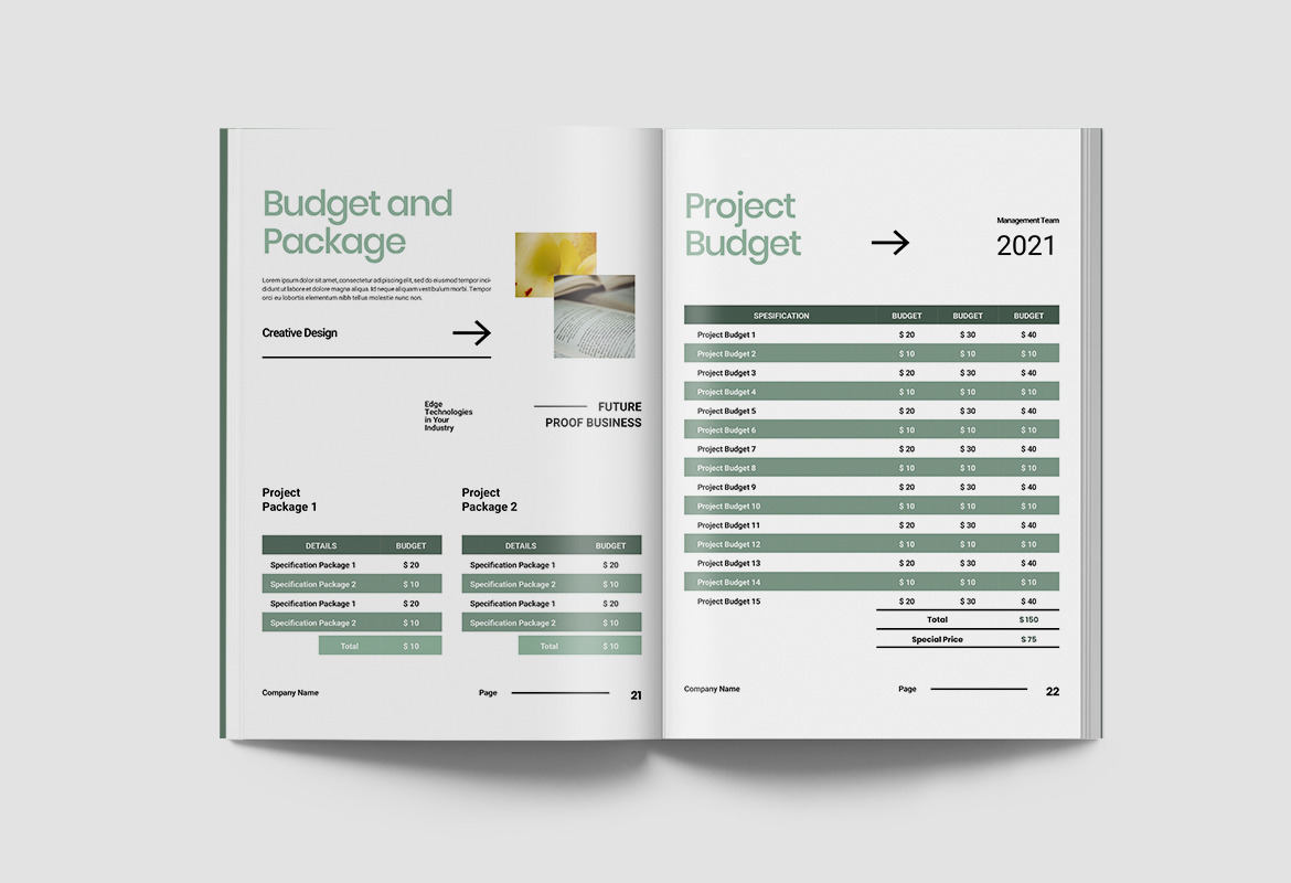 Company Profile Document Indesign