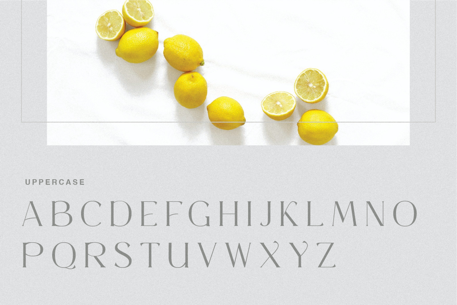 Rottaries - Modern Unique Typeface Rottaries - Modern Unique Typeface