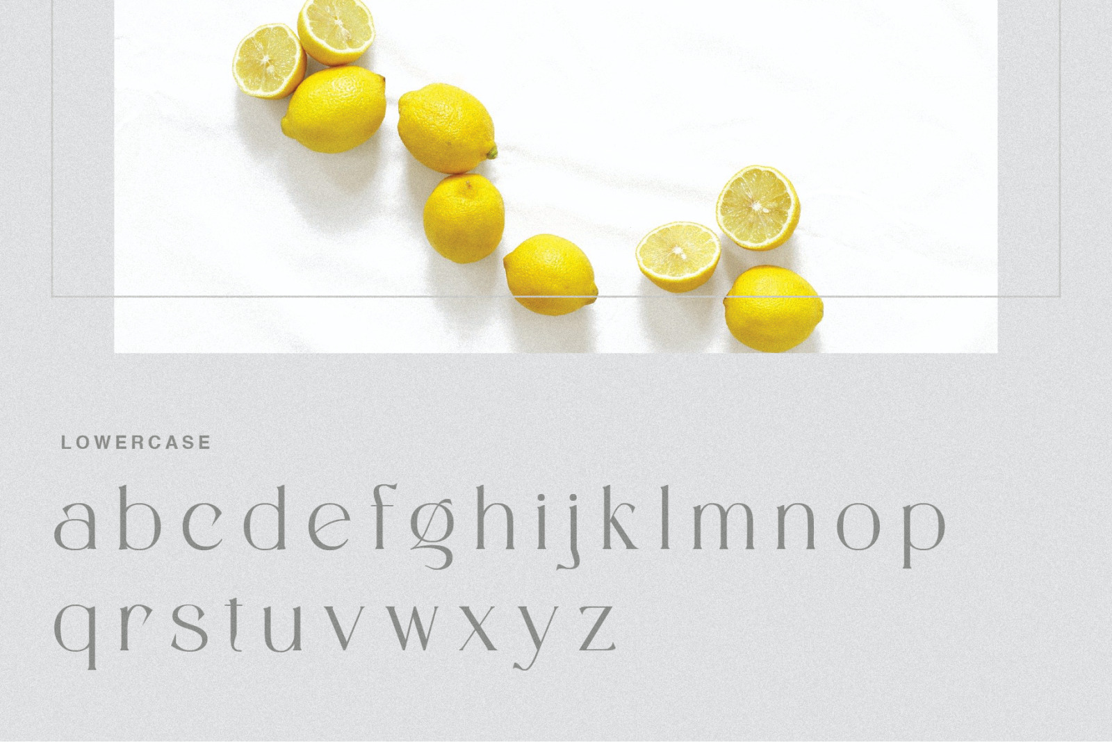 Rottaries - Modern Unique Typeface Rottaries - Modern Unique Typeface