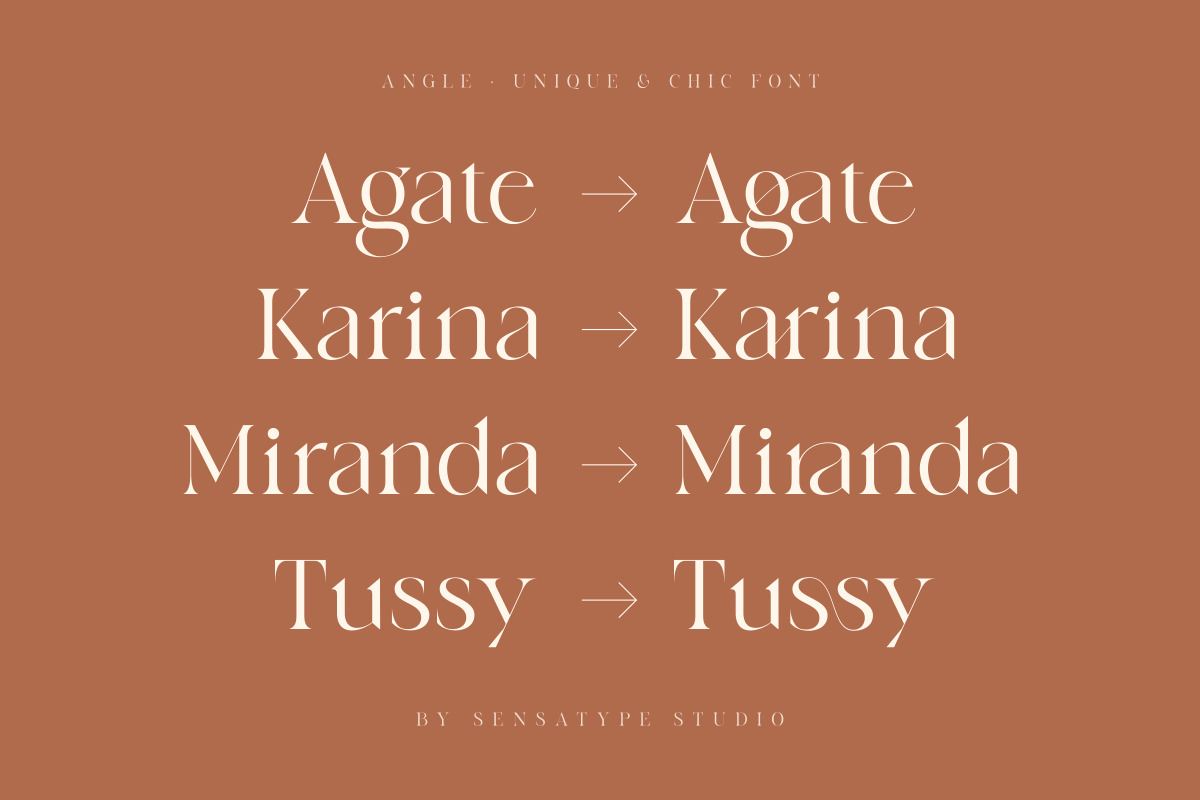 angle - unique &amp; chic font