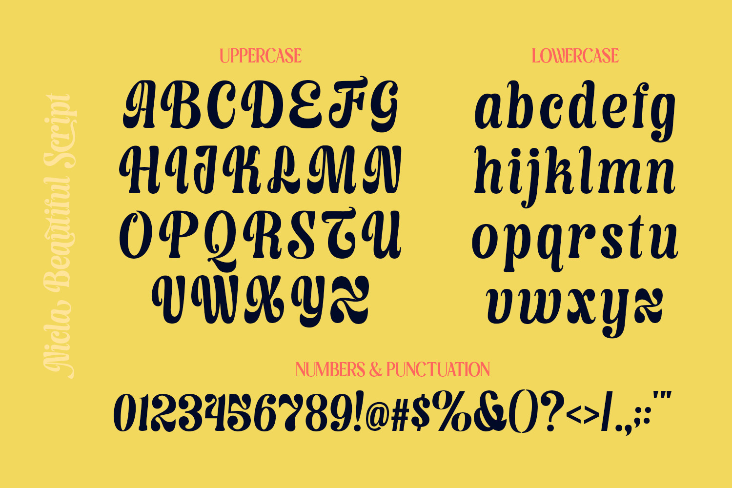 Nicla - Beautiful Script Family Nicla - Beautiful Script Family
