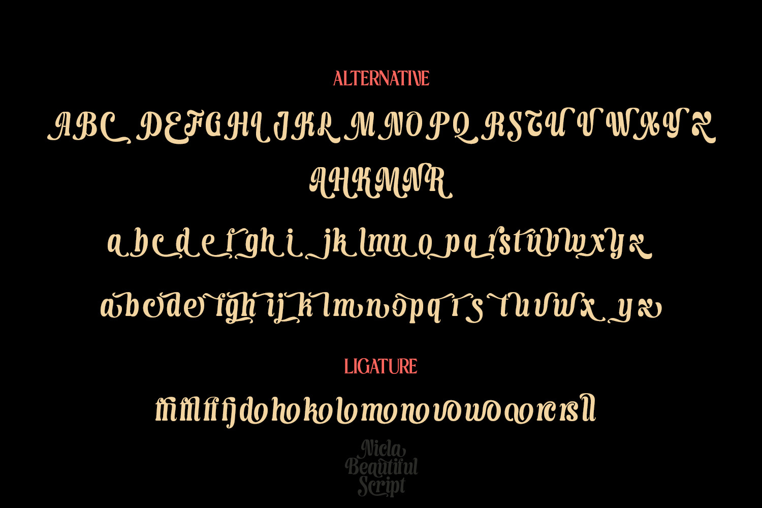 Nicla - Beautiful Script Family Nicla - Beautiful Script Family